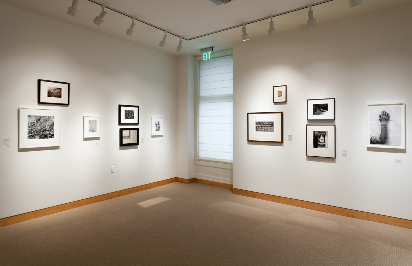 Color image of black and white photographs on white gallery walls