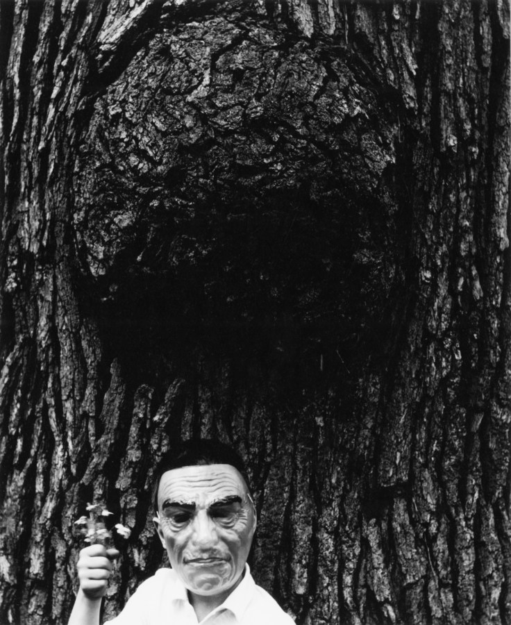Black-and-white photograph of a boy in a mask standing under a gall of a tree