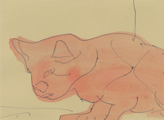 Untitled (Red cat), 2014, ink and watercolor on paper