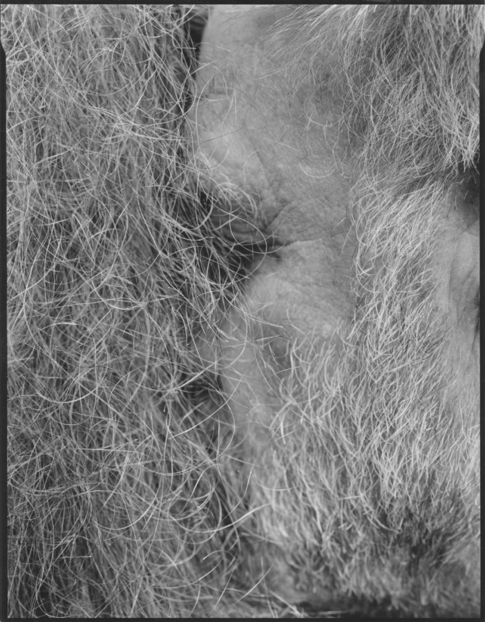 Black and white photograph of a face getting swallowed within the hair of another