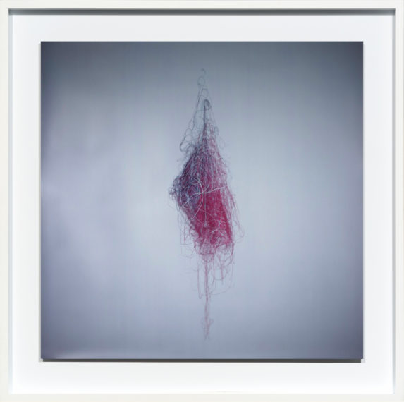 Colored Cotton 2, 2010