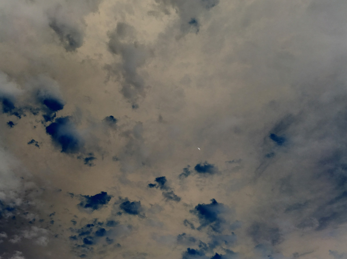 Inverted color photograph of a cloudy sky with a bird in flight in the distance