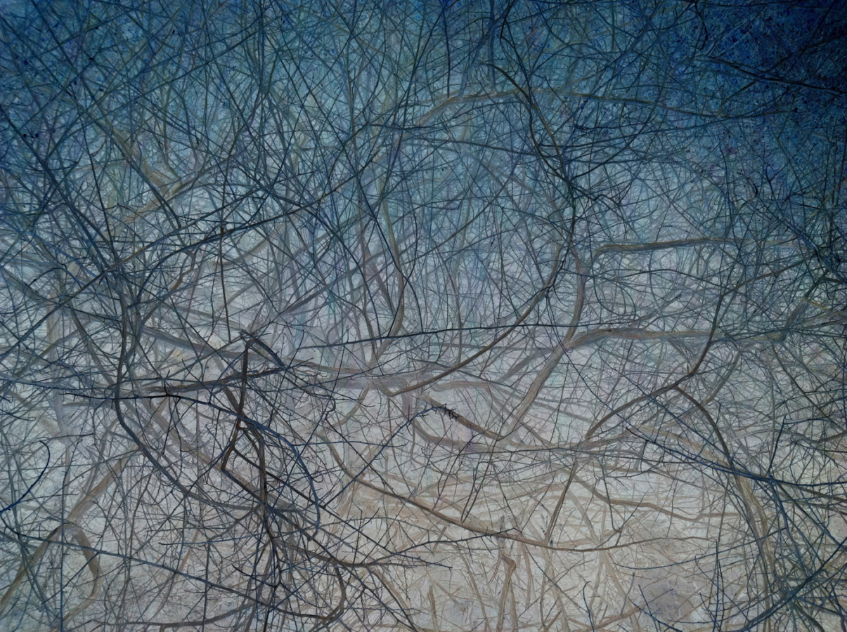 Inverted color photograph of tangled thin branches