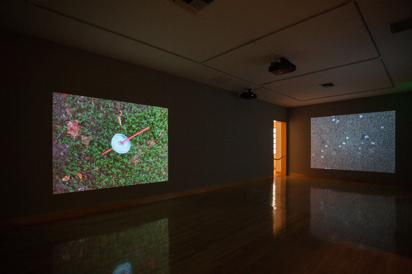 Color image of color video projections on gallery walls