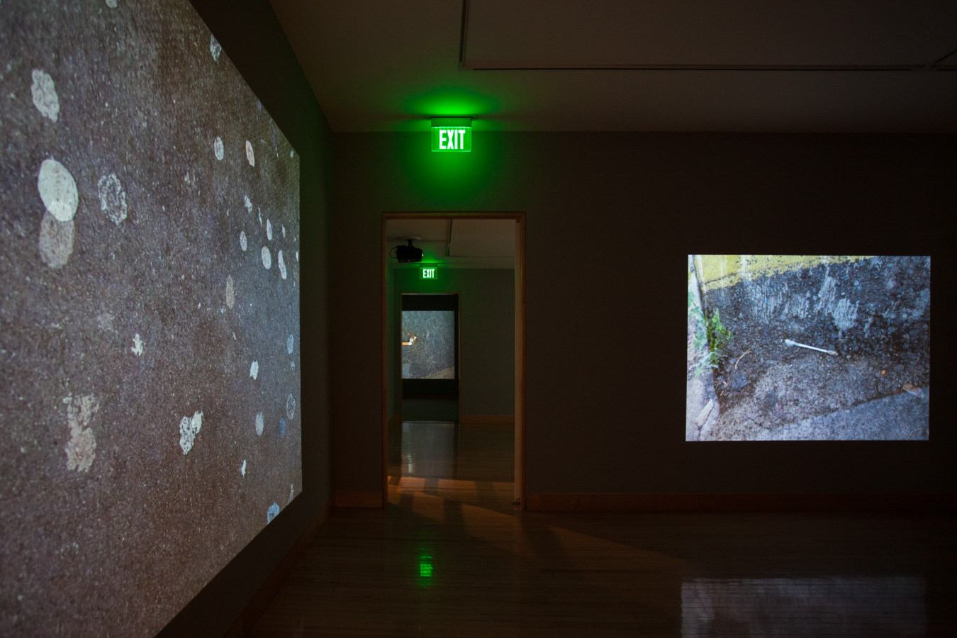 Color image of color video projections on gallery walls