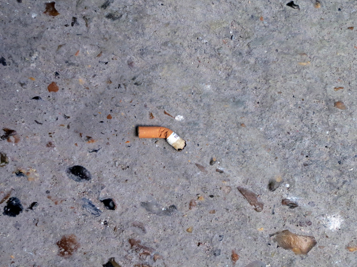 A photograph of a cigarette butt in the sidewalk, on rocky cement