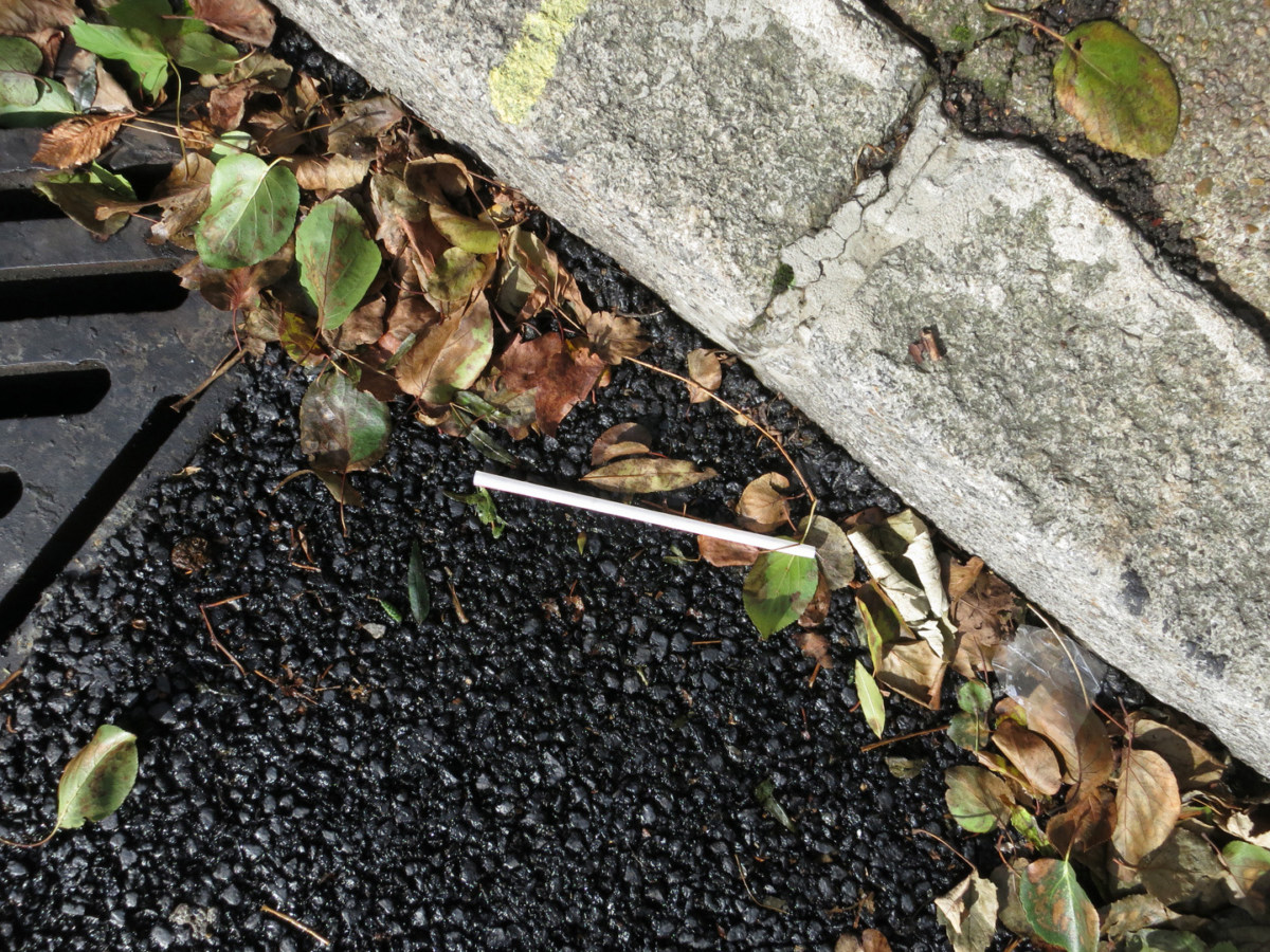 A photograph of a disposable plastic straw on the side of the road, in a pile of leaves