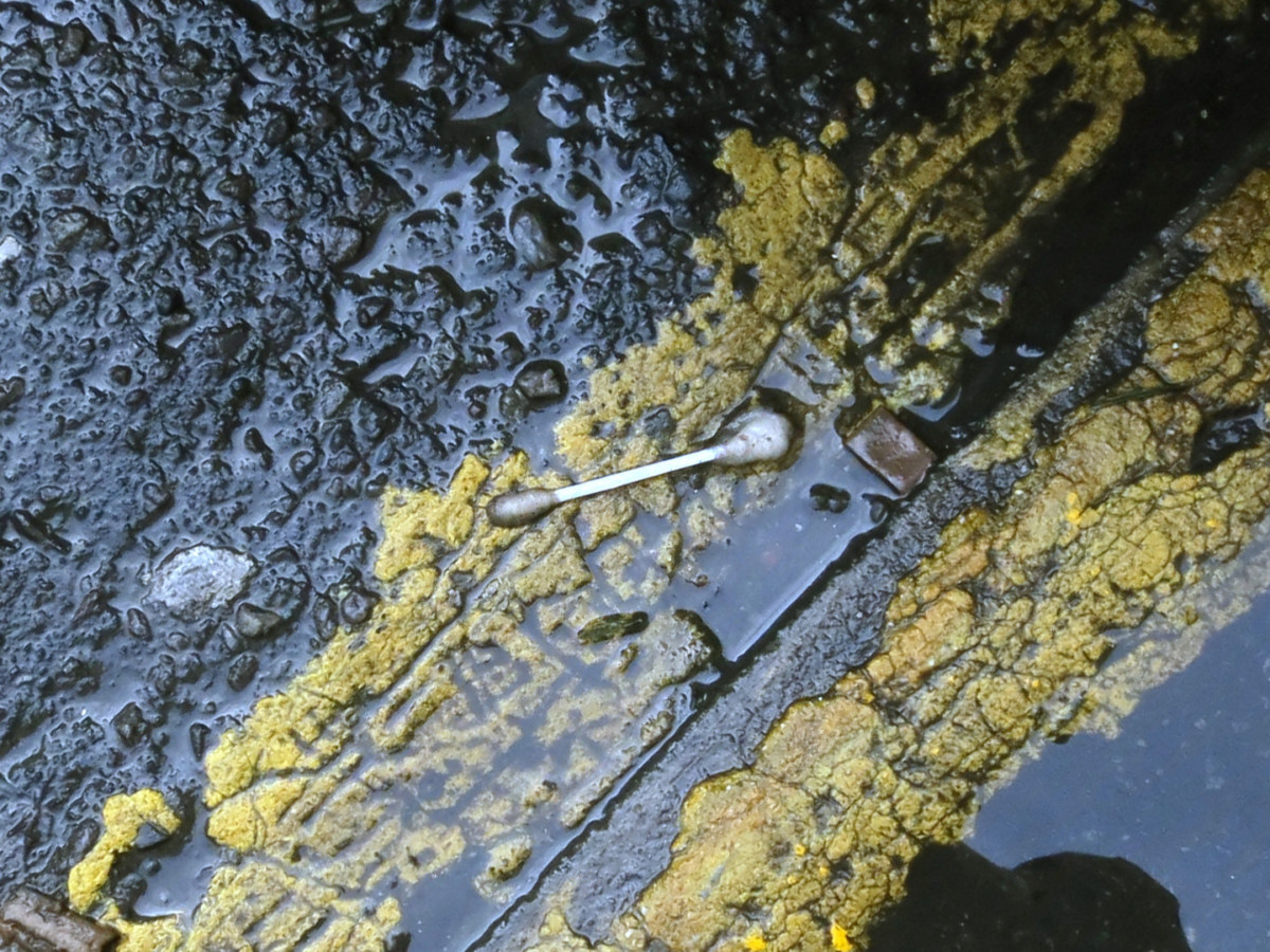 A photograph of a Q-Tip in the wet street, over a yellow road stripe