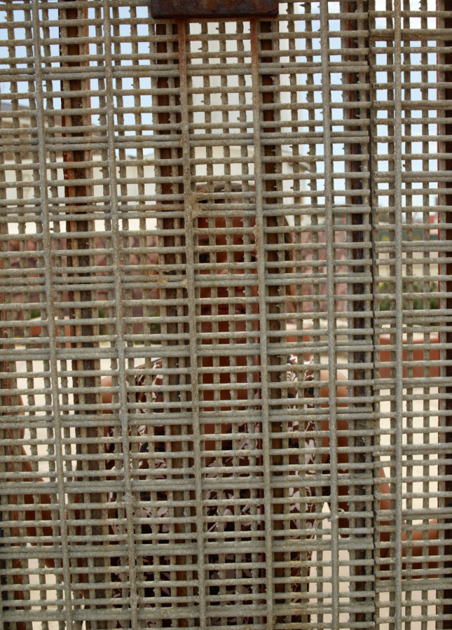 Color photograph of a woman looking through and obscured by a metal lattice and fence posts