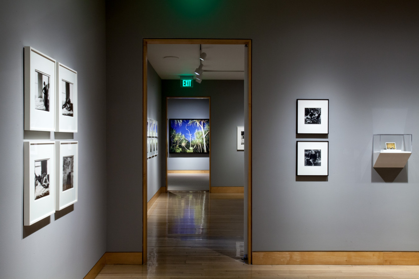 Color image of color and black and white photographs of various sizes on grey gallery walls
