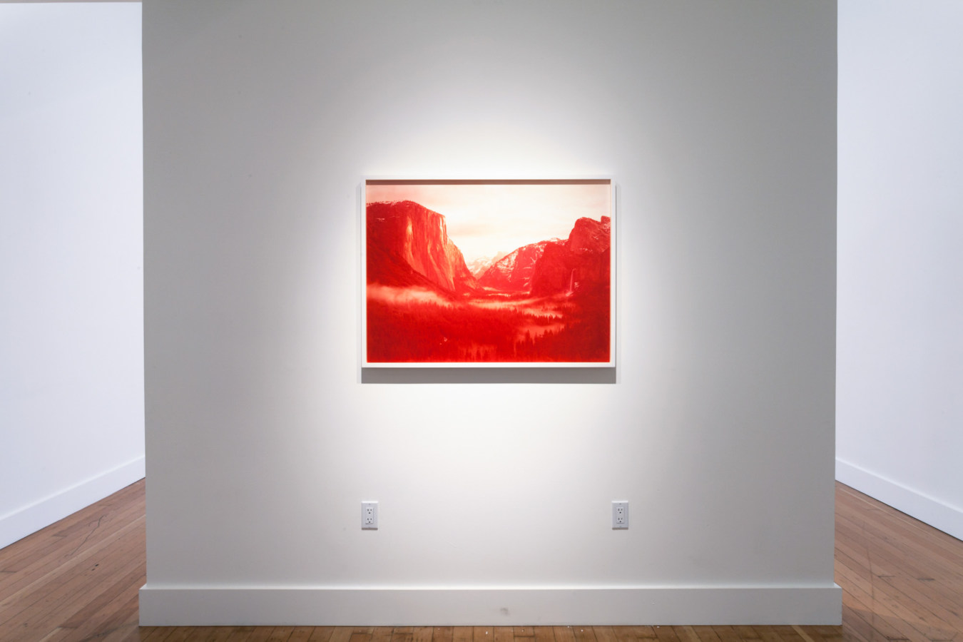 Color image of large scale color photograph on white gallery wall