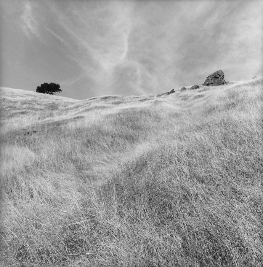 Black and white photograph of hillside with tree and large boulder