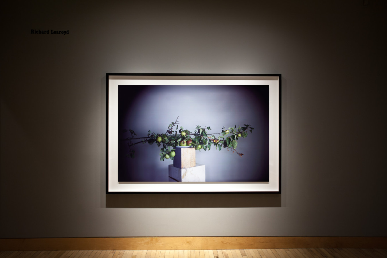 Color image of large scale color photograph of apple branches on wooden pedestal atop marble pedestal on grey gallery wall