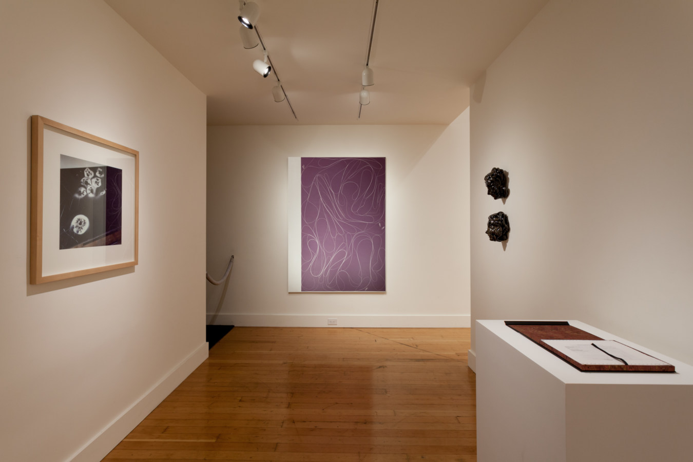 Installation photograph of a gallery space with prints and canvases on the walls