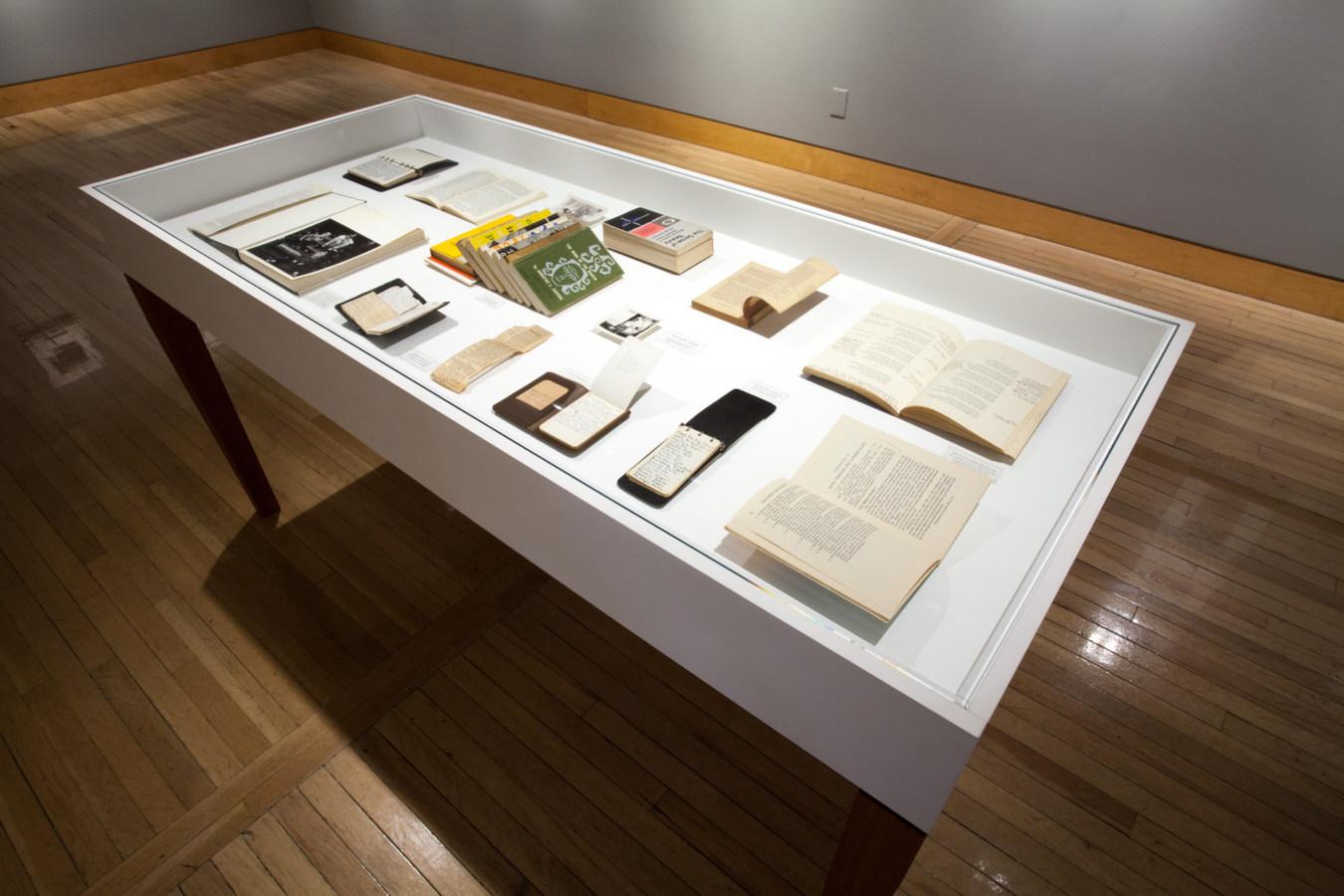 Color image of white vitrine with ephemera and printed publications of artist Ralph Eugene Meatyard