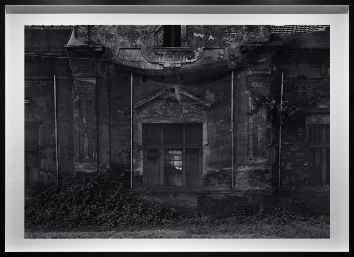 Black-and-white photograph of a derelict entrance way with an overgrown stoop