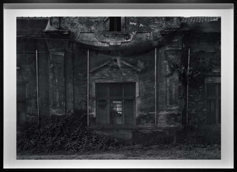Untitled, 2016, gelatin-silver contact print