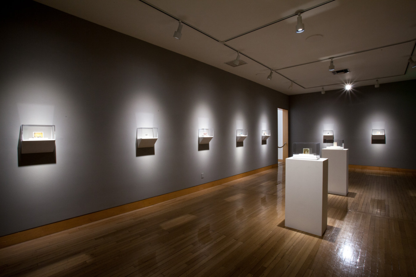 Color image of small scale painted photographs on grey gallery walls and on white pedestals