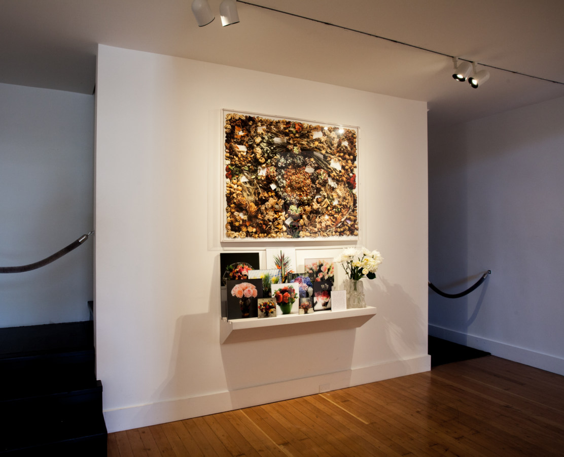 Color image of color framed photograph of flowers above white shelf with smaller photographs of flowers next to vase of flowers on white gallery wall