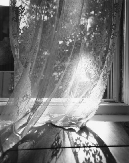 NICHOLAS NIXON, Bebe’s Curtain, 2000, gelatin-silver contact print