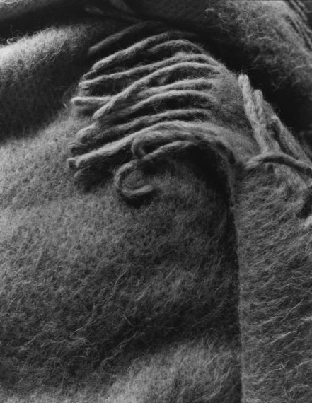 NICHOLAS NIXON, My Shawl, Brookline, 2016, gelatin-silver contact print
