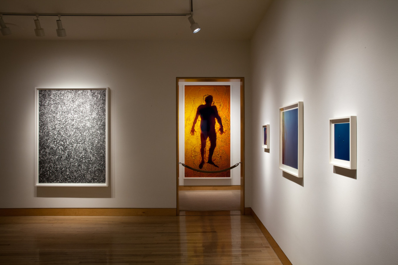 Color image of various sized color photographs on white gallery walls