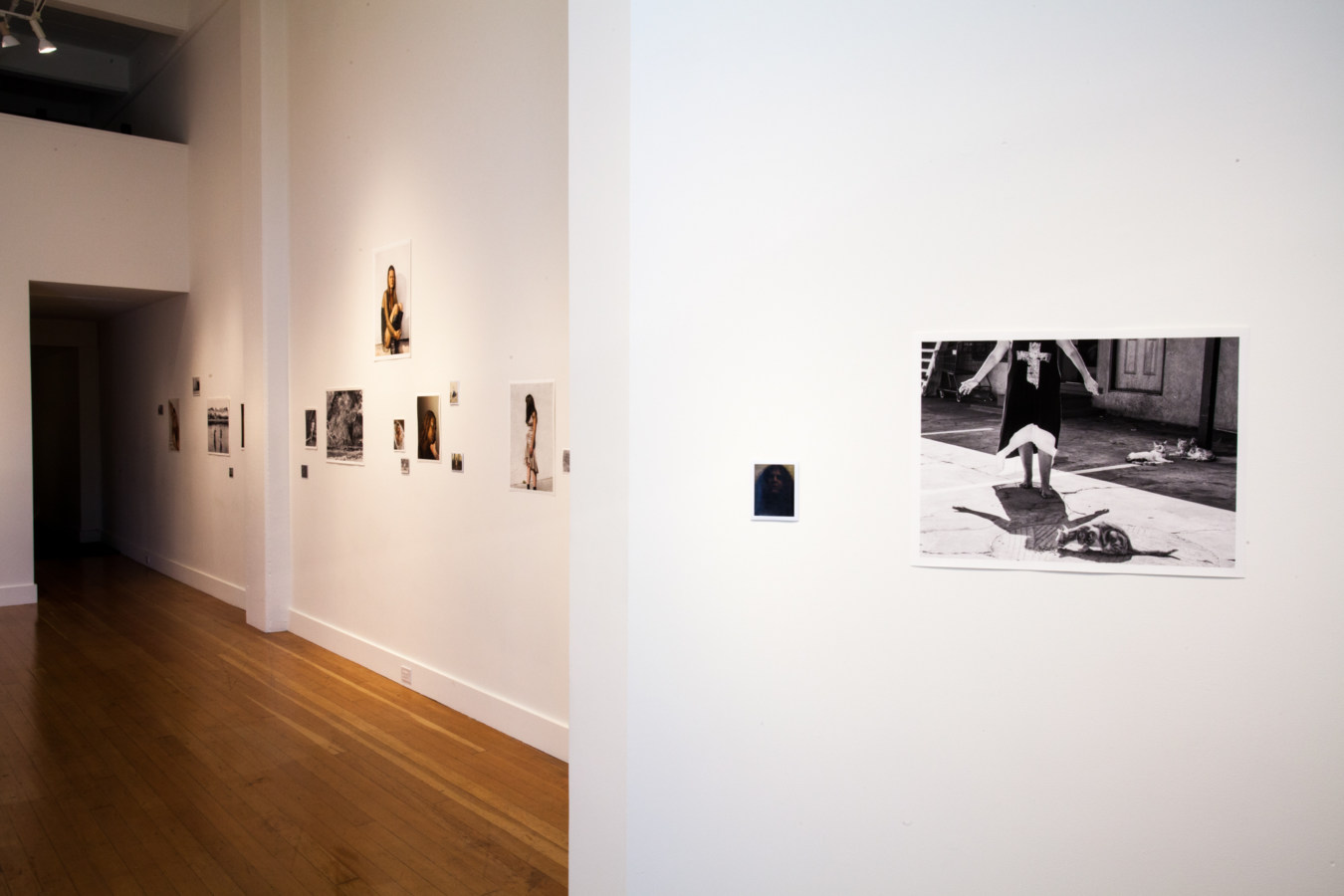 Installation photograph of a gallery space with small unframed prints on the walls
