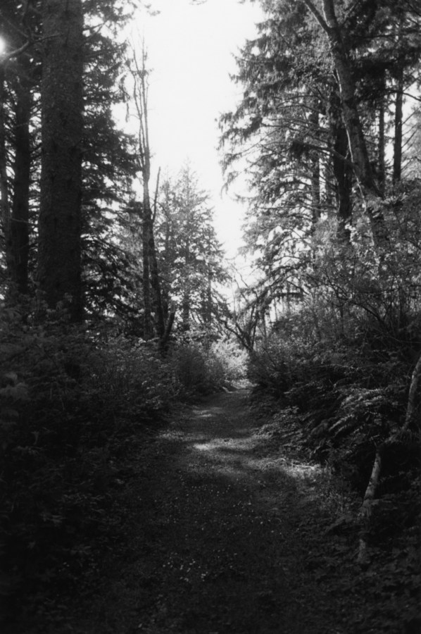 black-and-white vertical photo of a narrow dirt road running through a forrest with tall trees