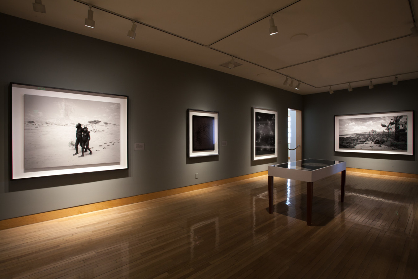 Color image of large scale framed black and white photographs on grey gallery walls
