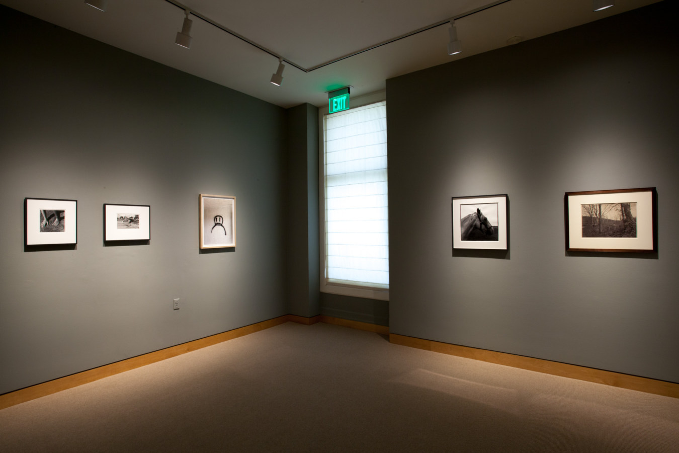 Color image of color and black and white photographs on grey gallery walls