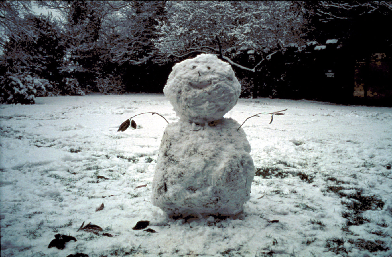 Color photograph of a snowman with branches for hands in a snowy field