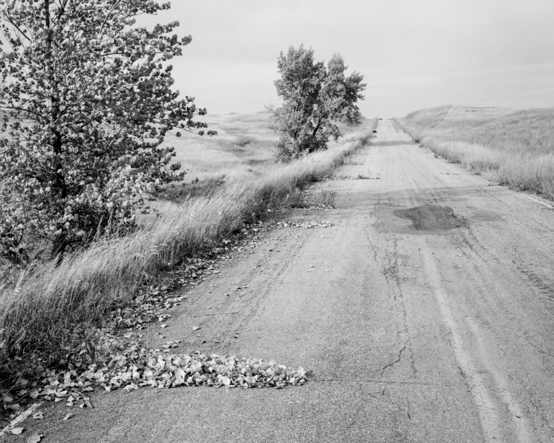 A black and white photograph of a road, with grass along either side. A pile of fallen leaves is in the foreground.