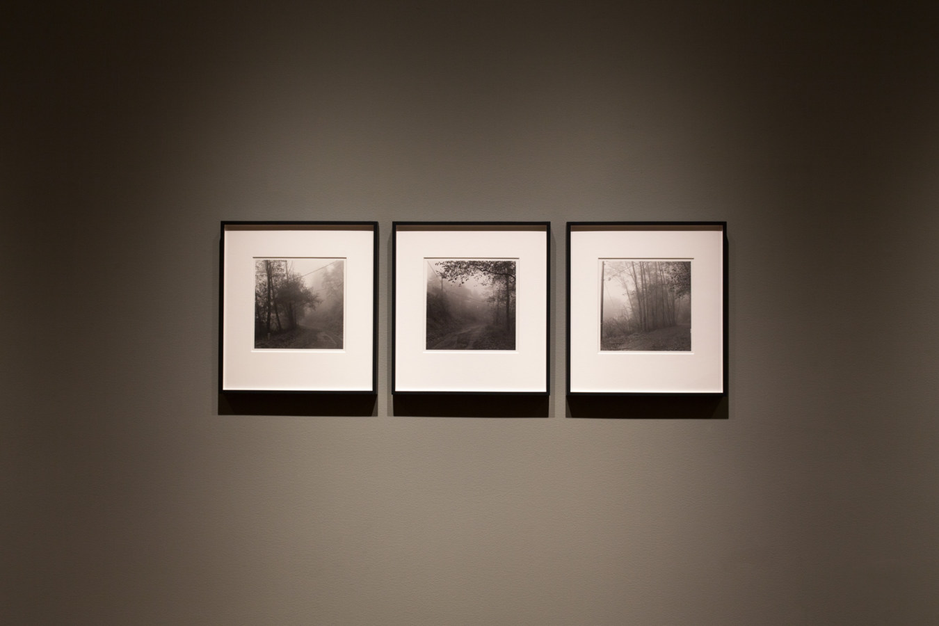 Color image of triptych of black and white photographs on grey gallery walls