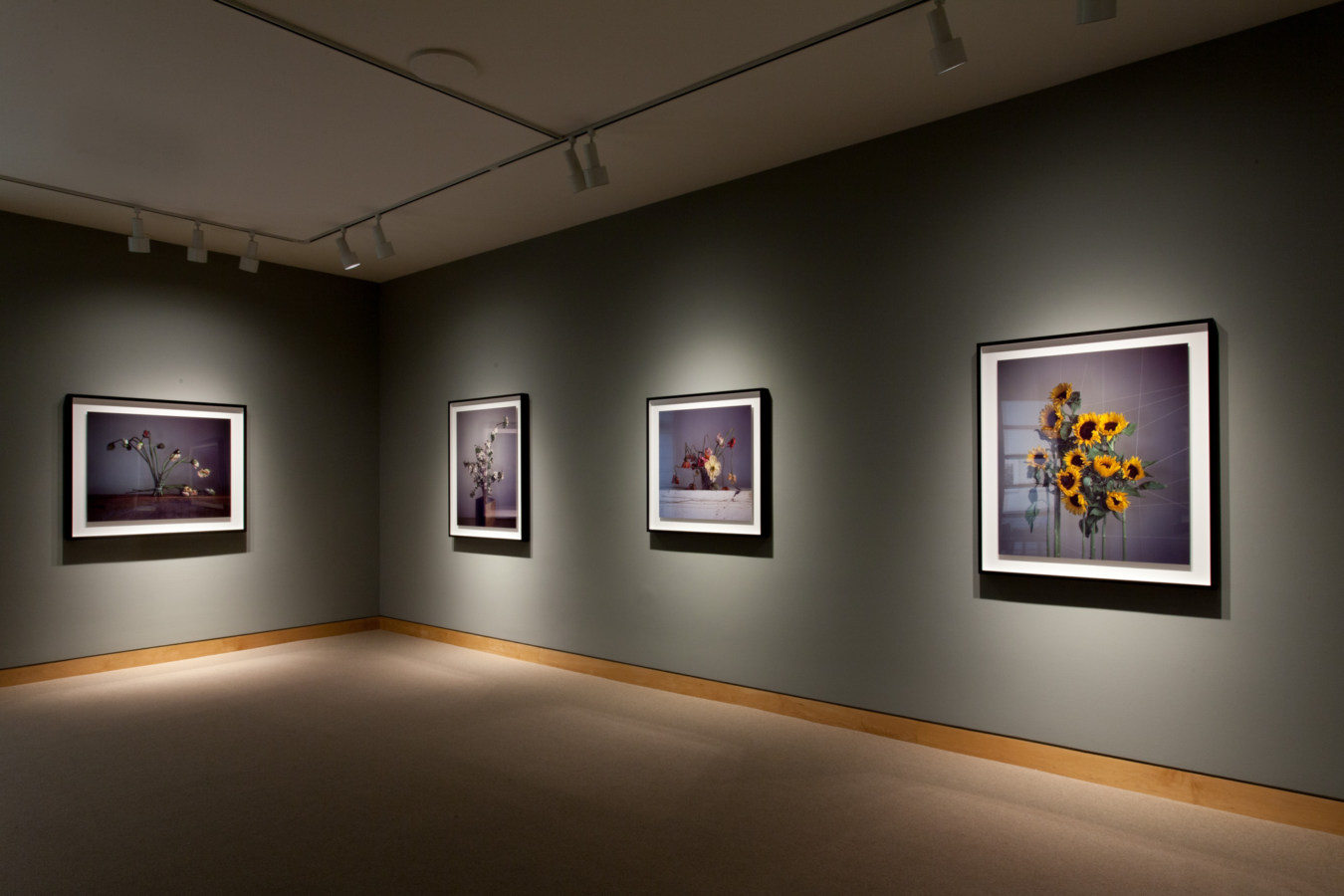 Color image of large scale color photographs on grey gallery walls