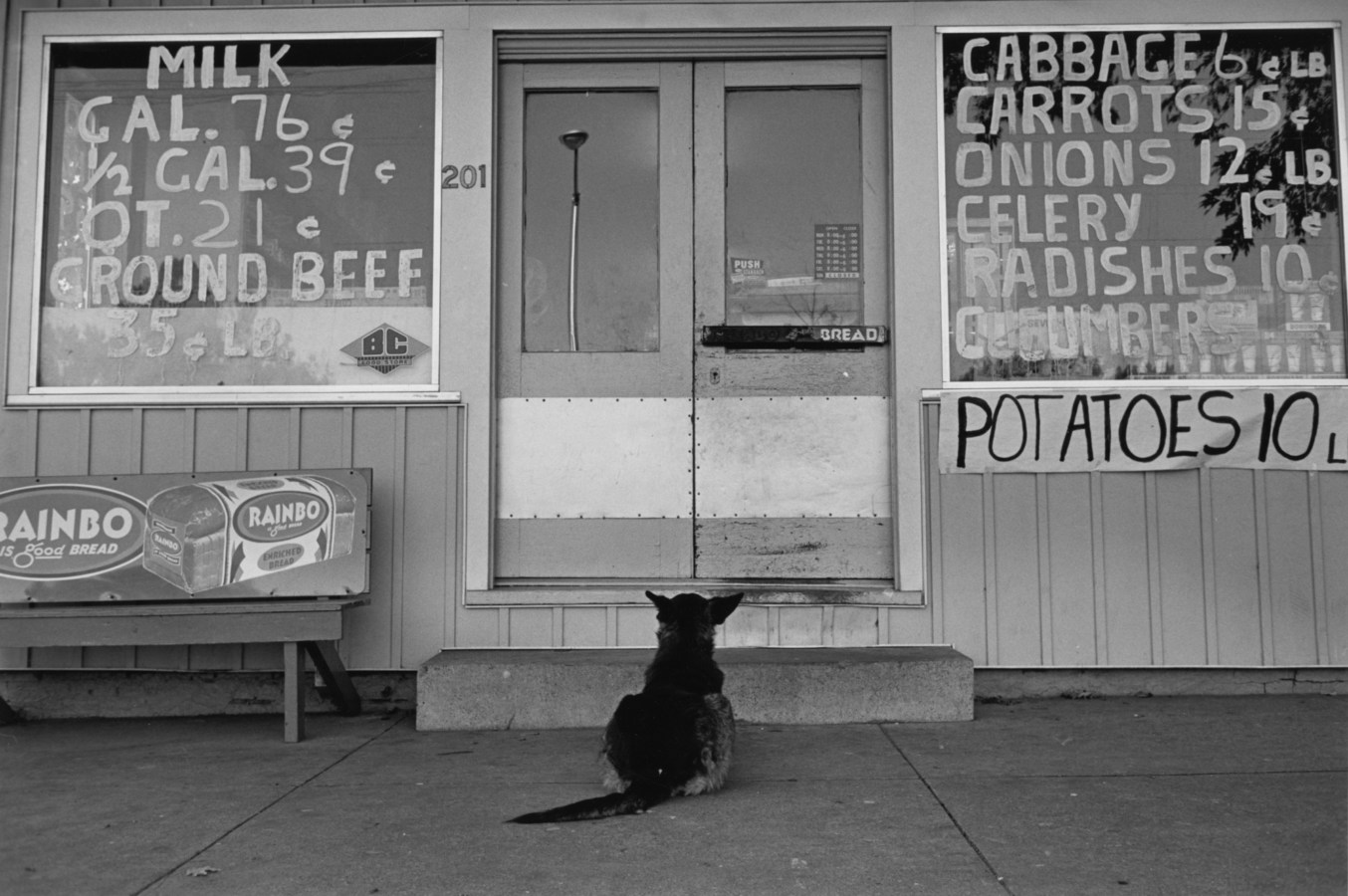 Black and white photograph of storefront exterior with dog sitting patiently looking at entrance