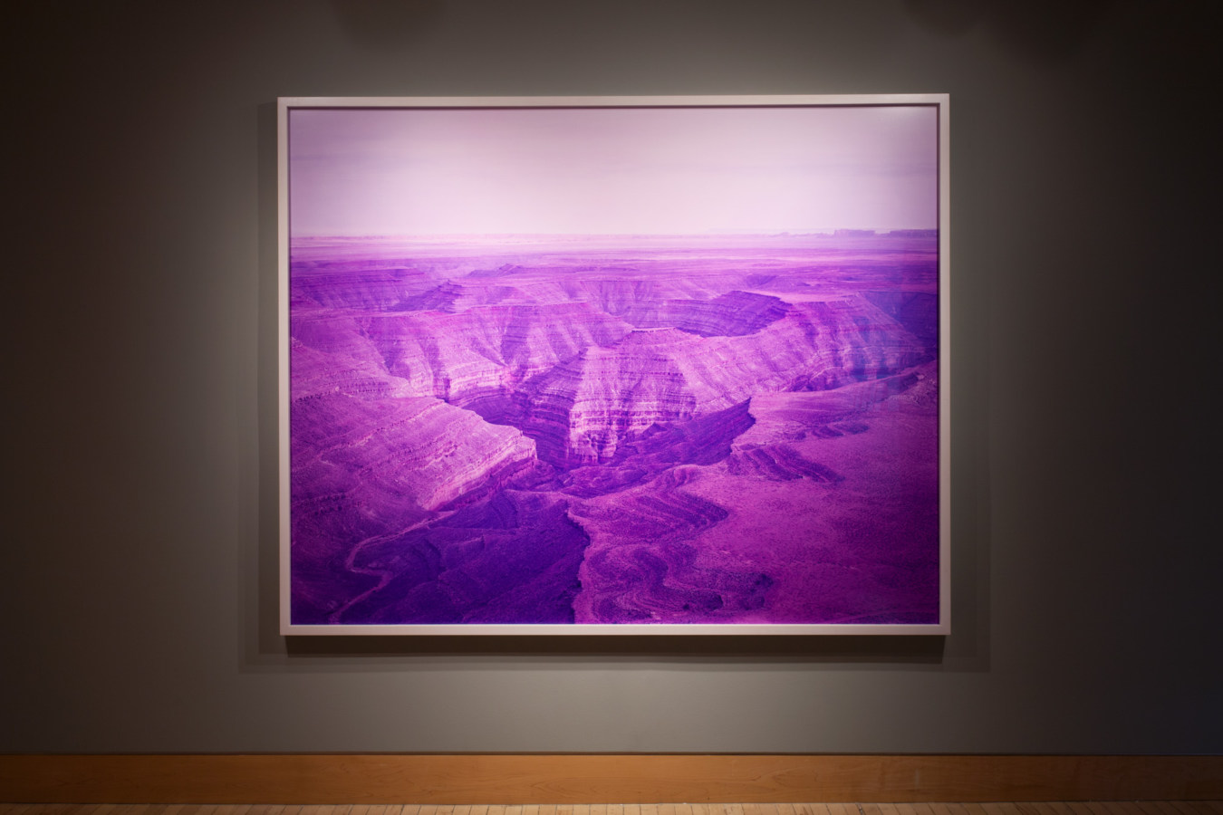 Color image of large scale color photograph on grey gallery wall