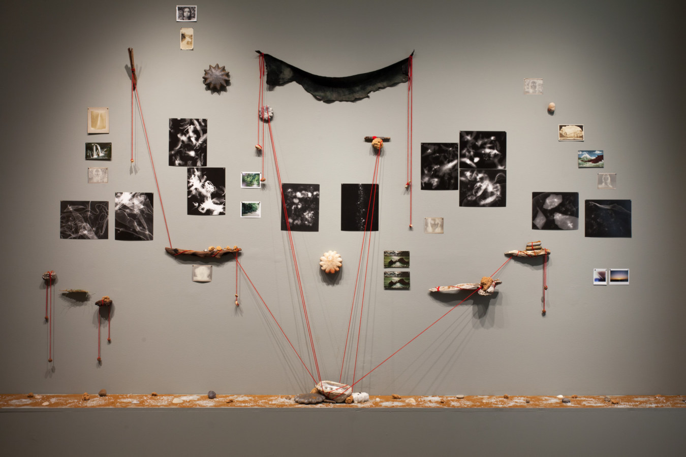 Color image of mixed media installation with photographs, yarn, and organic materials on grey gallery wall