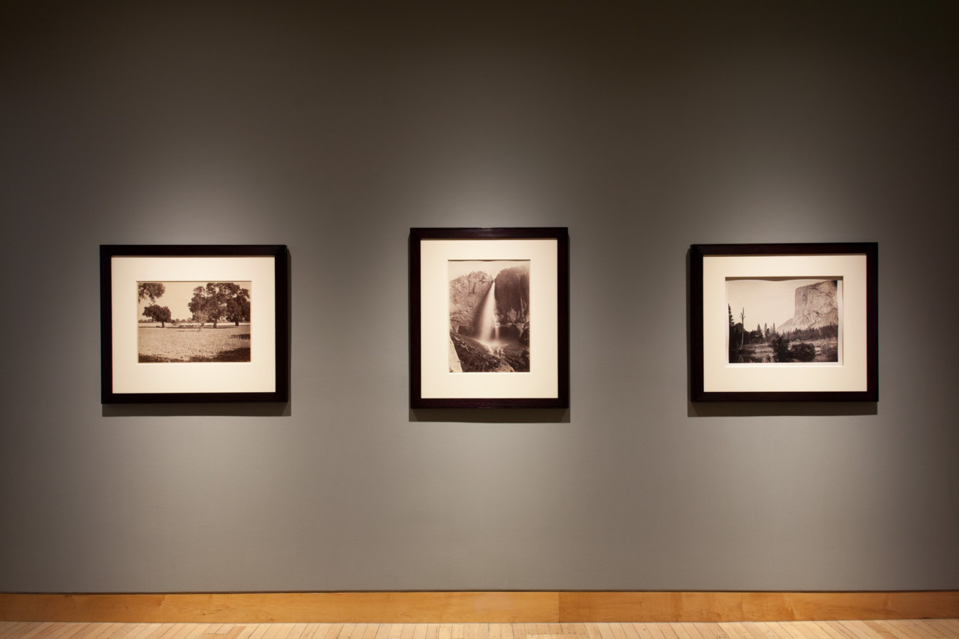 Color image of black and white photographs on grey gallery wall
