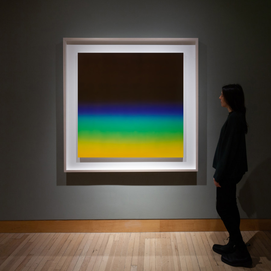 Color image of large scale color photograph on grey gallery wall with person viewing artwork