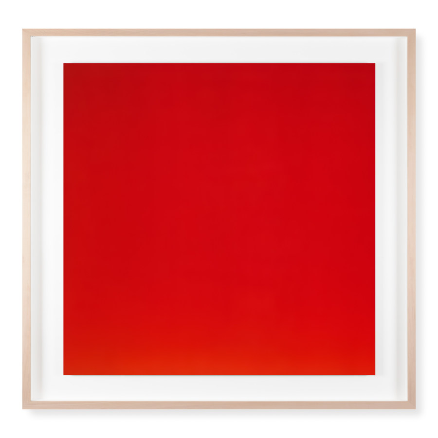 A framed photograph of a bright red color field