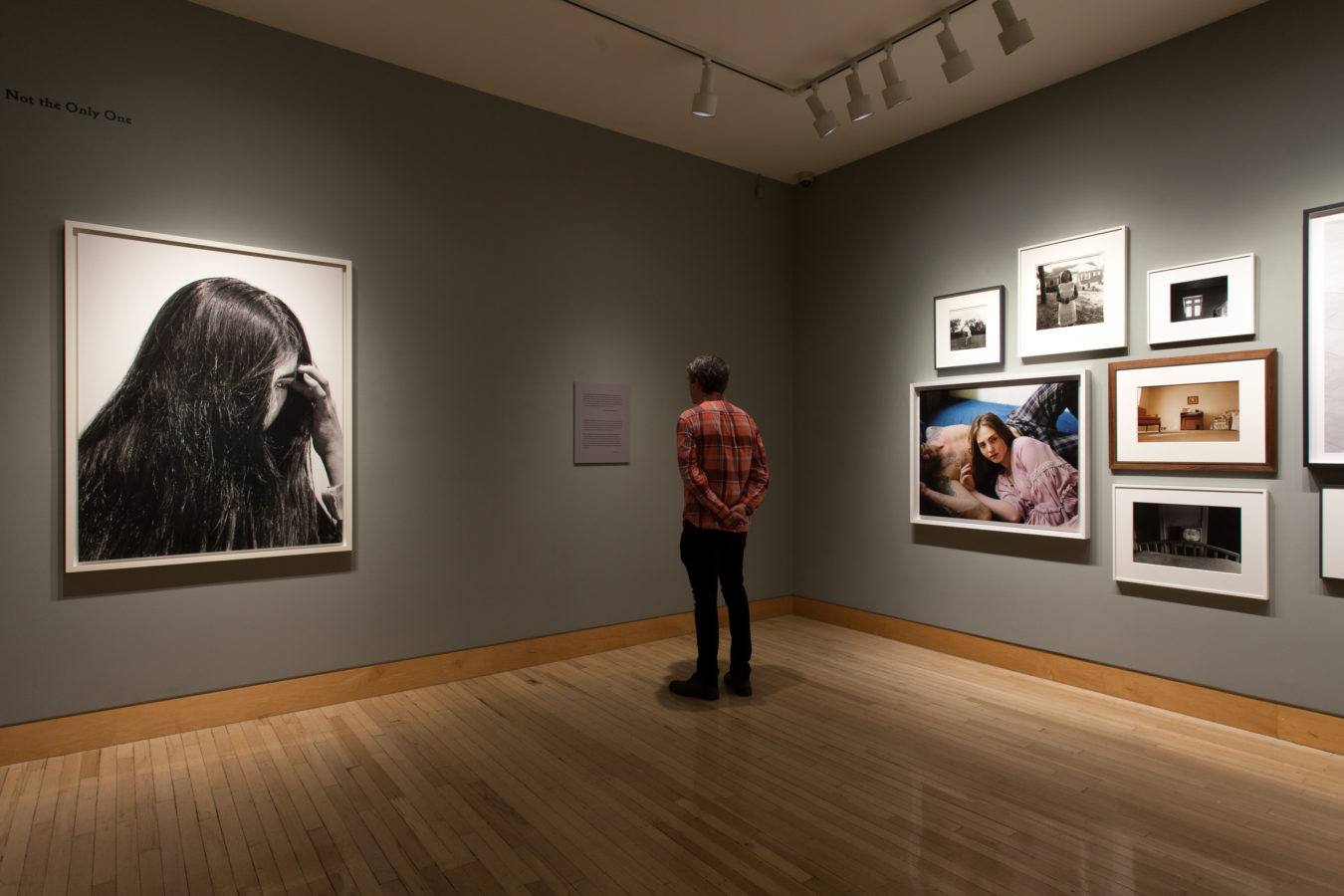 Color image of framed photographs on grey gallery walls with person viewing the exhibition