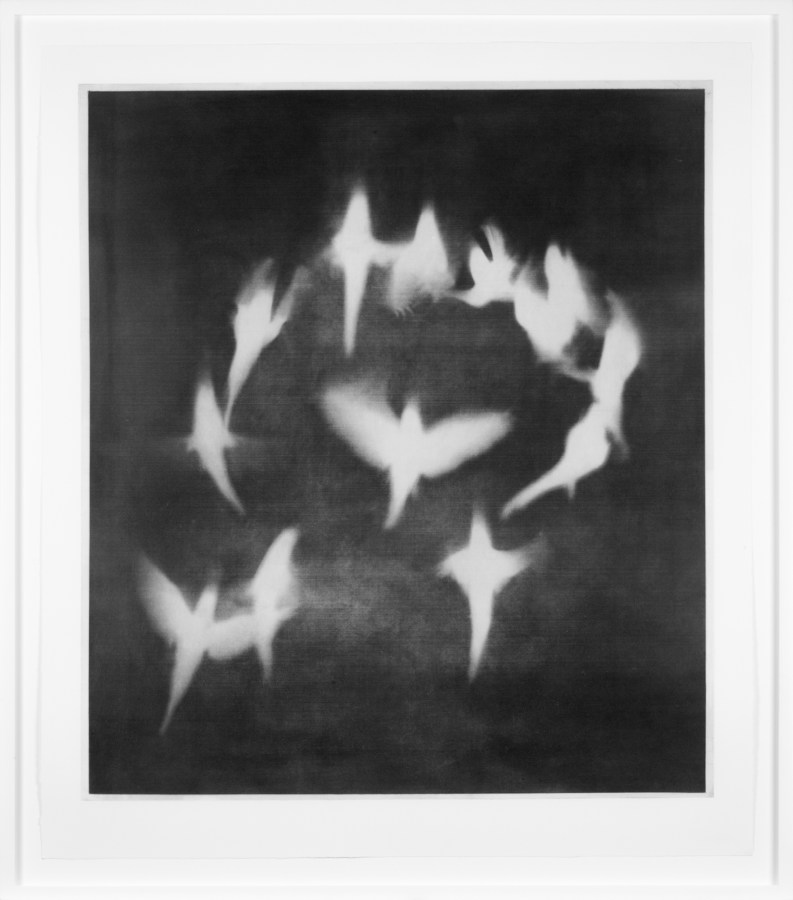 Black-and-white photogravure of the white silhouettes of birds circling one larger bird silhouette on a black background