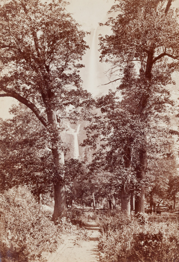 Ninteteenth century photograph of a trail through trees with a distant waterfall in the background