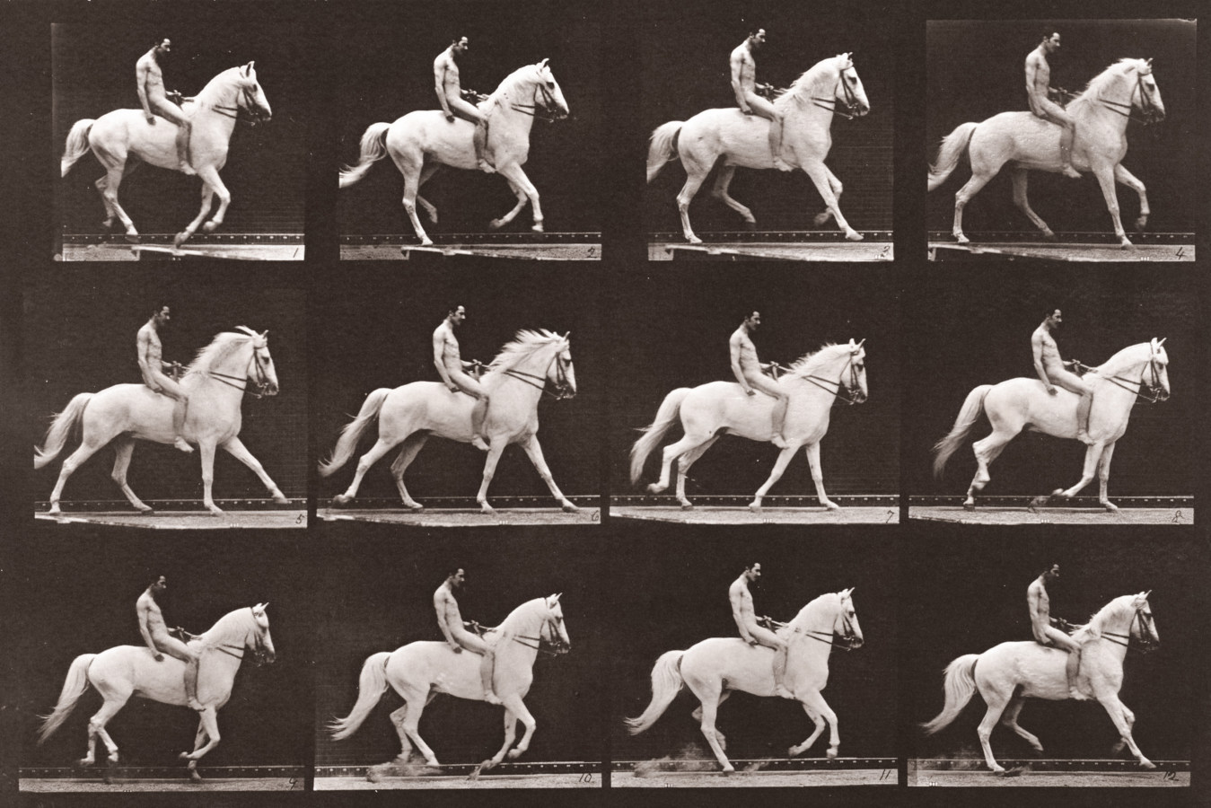 Sepia toned photograph with a grid of 12 panels showing a nude man riding a horse.