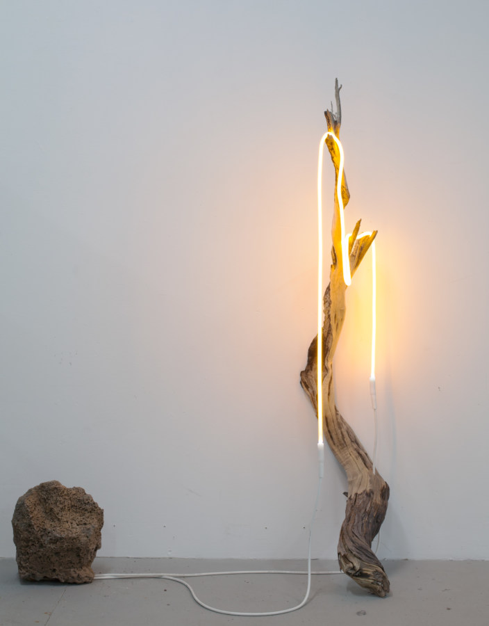 Hanging golden neon light on a dry tree branch next to a porous stone