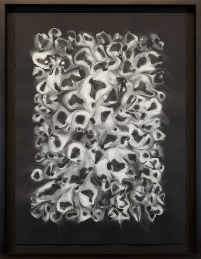 Black-and-white photogram of trumpet mushroom spores.