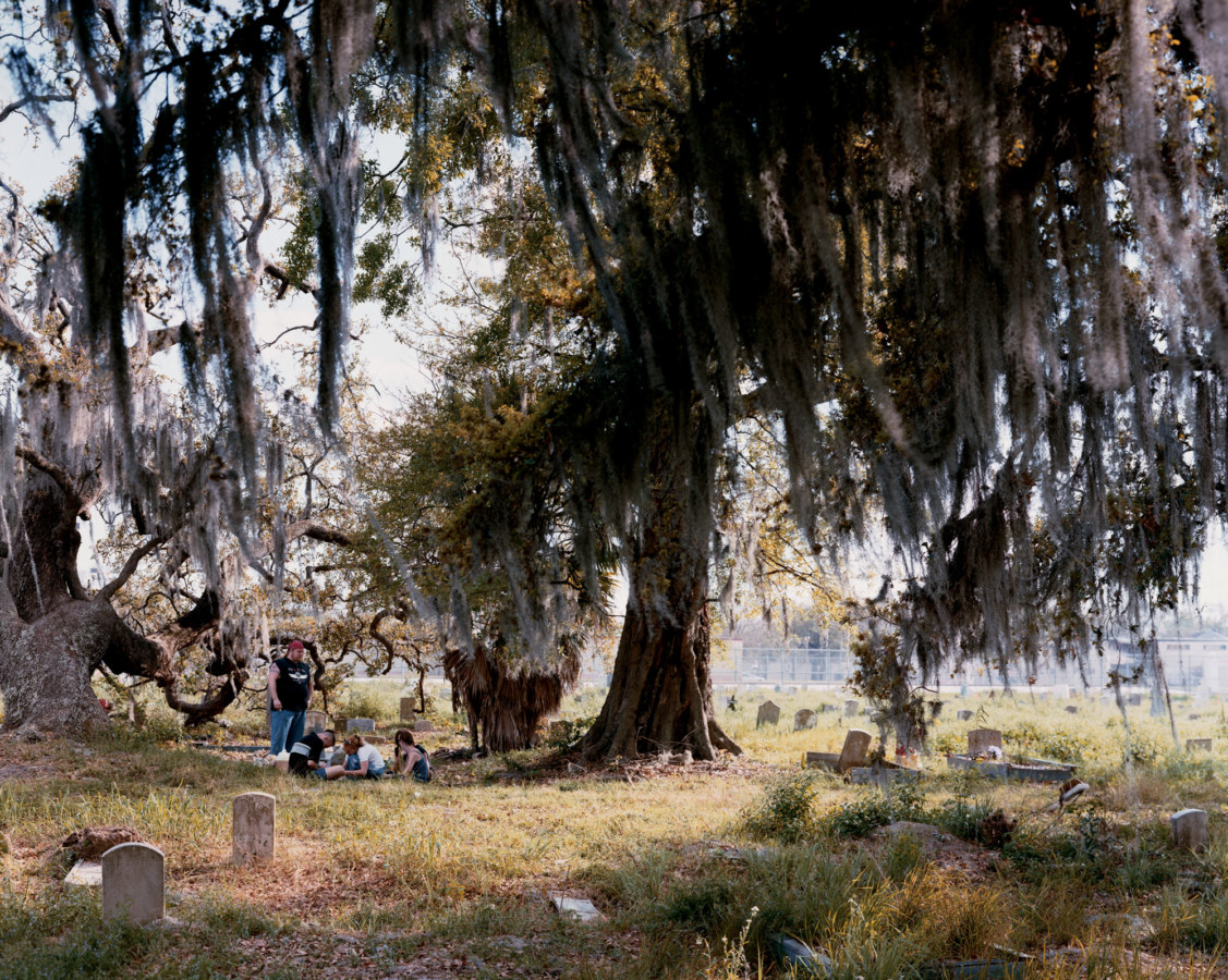 Color photograph of a tree in a cemetery, with long Spanish moss hanging from the branches. A small group of teenagers sits below the tree, in the grass.