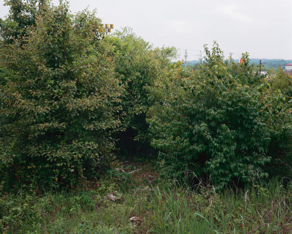 Color photograph of an gap in the bushes nearby a gas station