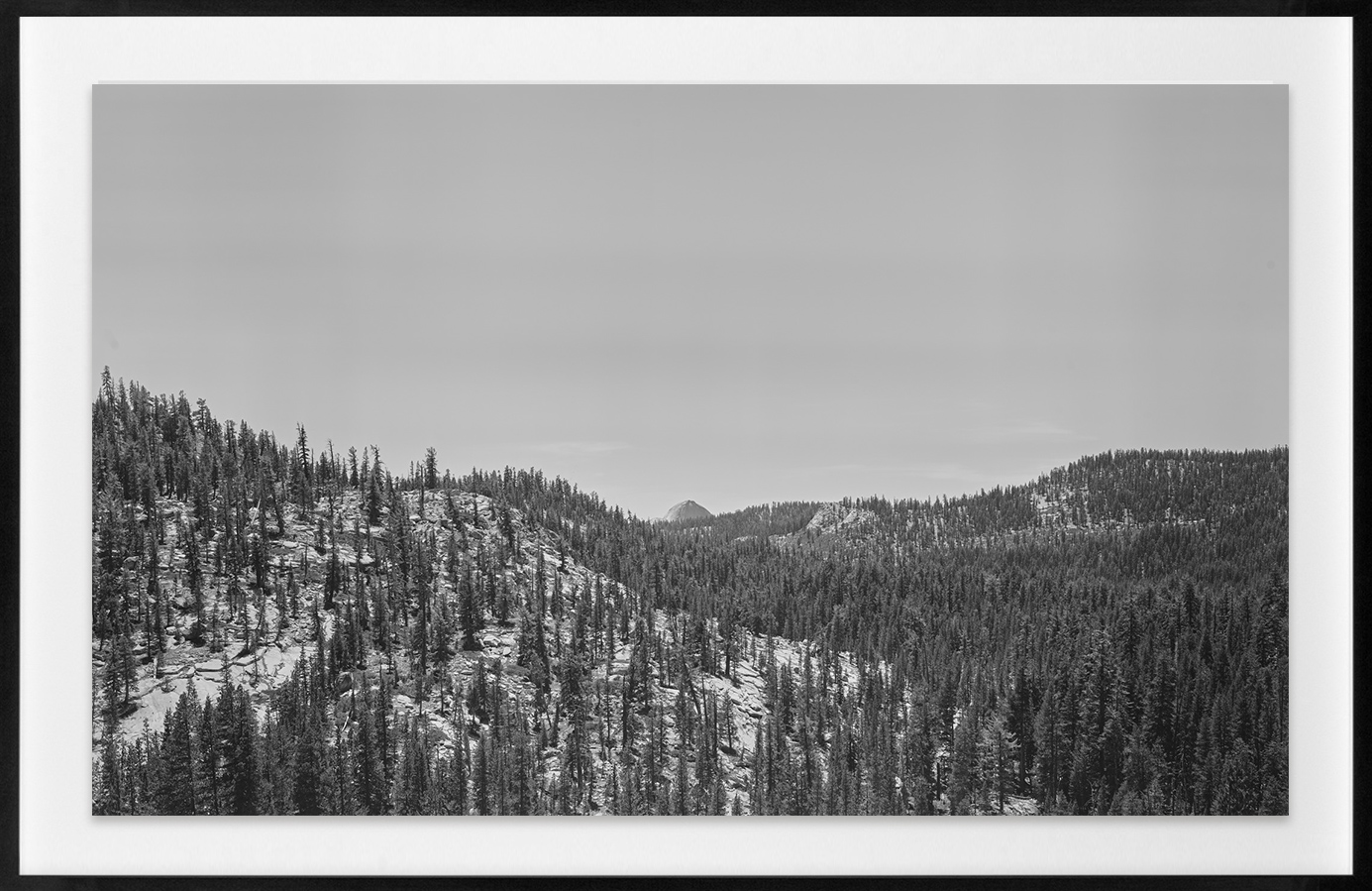 Framed black and white photograph of a rocky hillside covered with pine trees