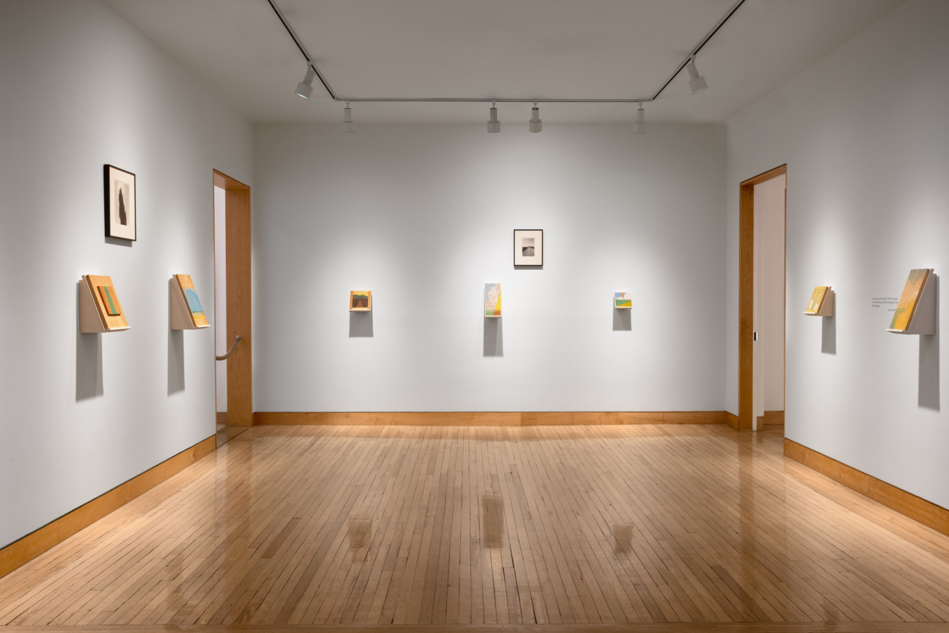Color image of exhibition depicting black and white photographs and painted woodblocks on white gallery walls
